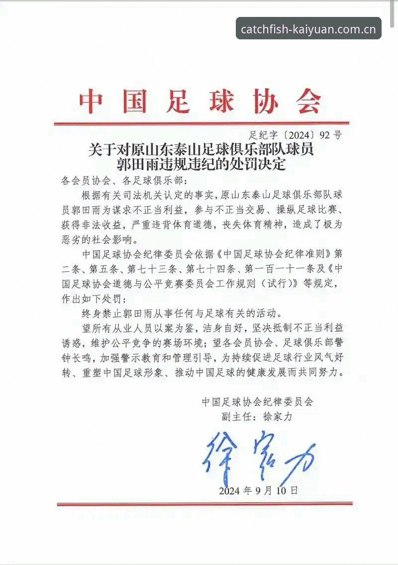 中国足协第三批禁足名单深度分析：17人终身禁赛背后的足球生态重构