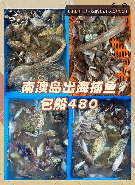 开元捕鱼官网掌上娱乐深度评测:新手必备的全方位捕鱼攻略指南